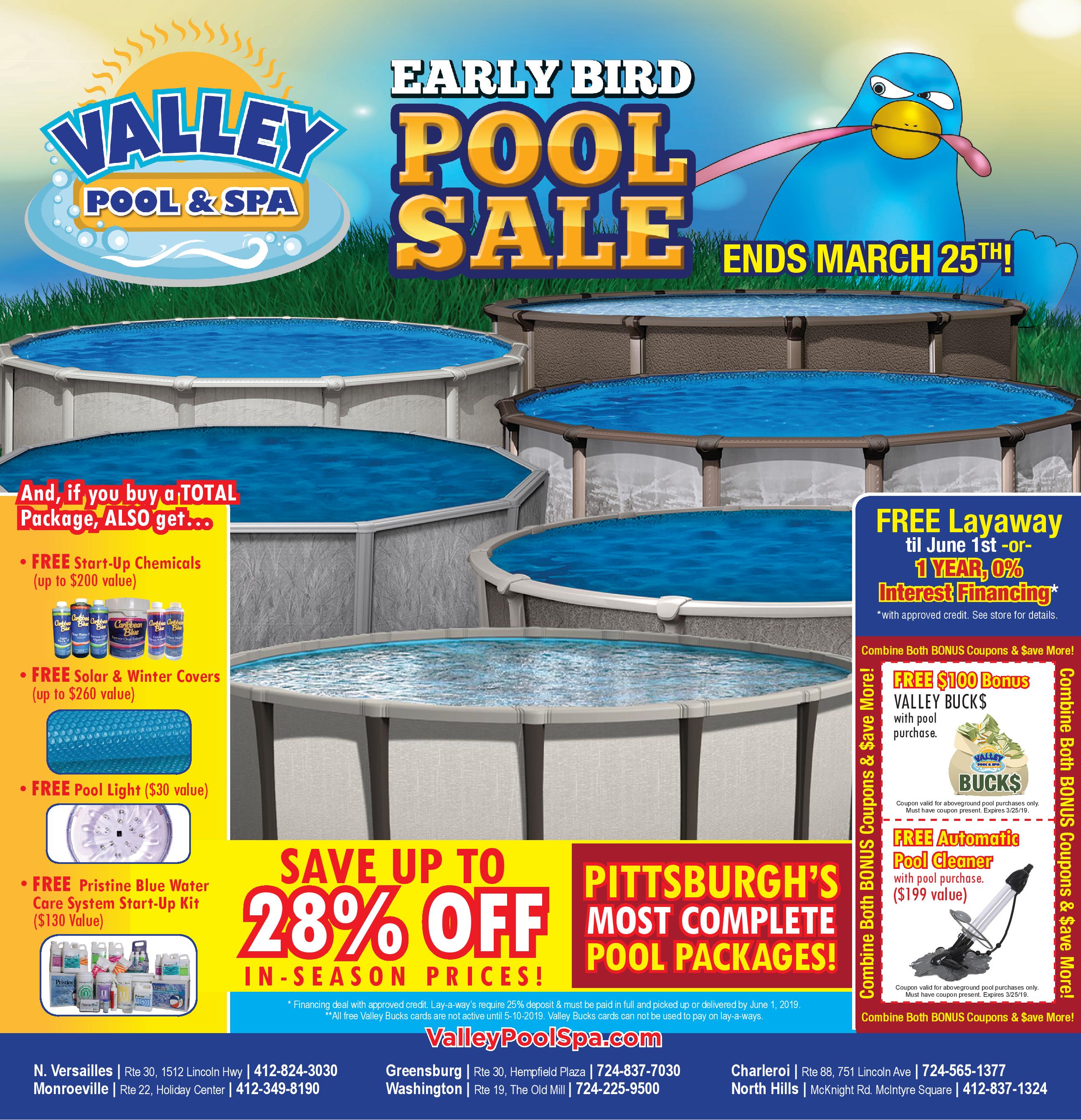 Tamara Above Ground Pools in the Pittsburgh, PA